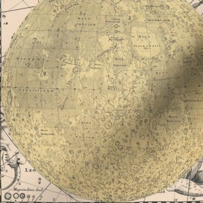 Map Wraps™ Celestial Globes Fat Quarter