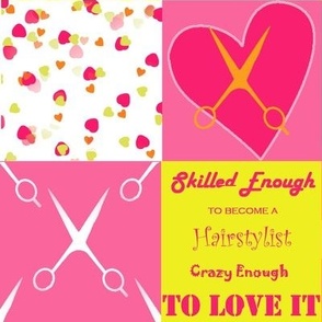 hairstylist cheat sheet pink and yellow