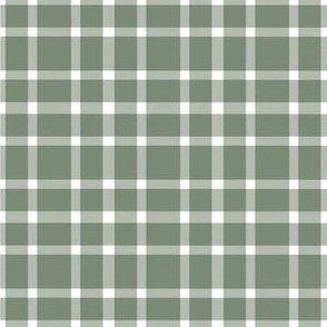 Sage Green Gingham