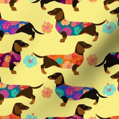 Darling Dachshunds (V3 Smallest)