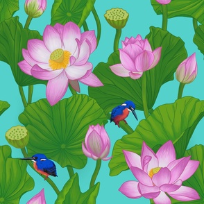 Asian Large Scale Pink Lotus Flowers Amongst Lily Pads