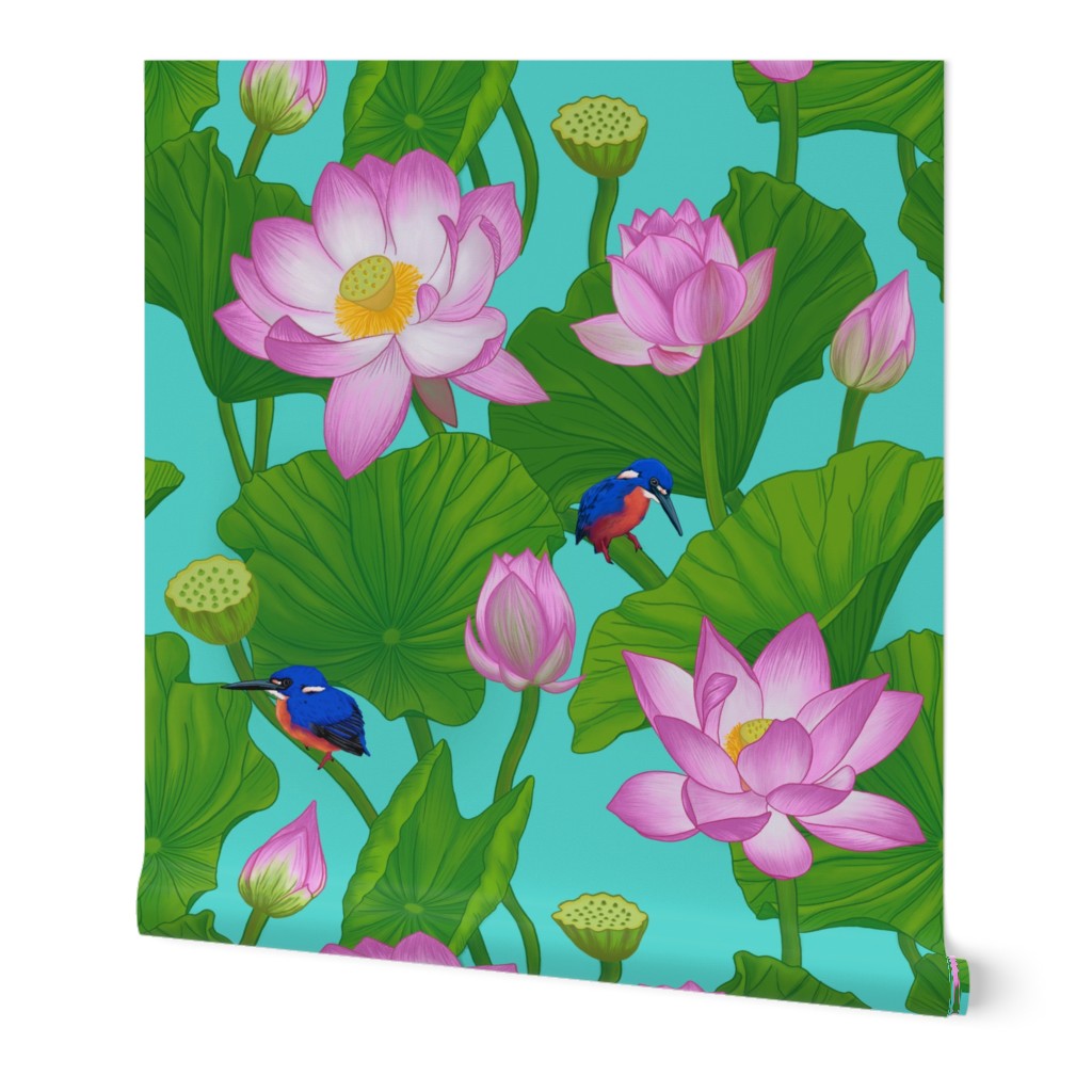 Asian Pink Lotus Flowers Amongst Lily Pads