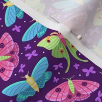 Spring Moths Primary on Purple