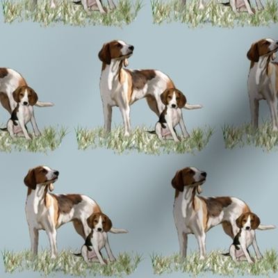 treeing walker coonhounds Mother and puppy