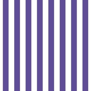 purple vertical stripes 1/2"