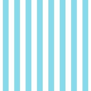 sky blue vertical stripes 1/2"