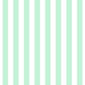 ice mint green vertical stripes 1/2"