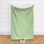 apple green vertical stripes 1/2"