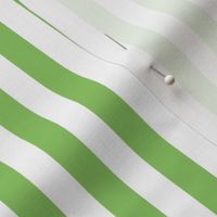 apple green vertical stripes 1/2"