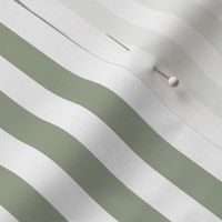 sage green vertical stripes 1/2"
