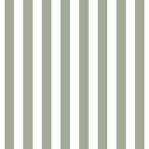 sage green vertical stripes 1/2"