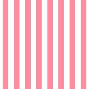 pretty pink vertical stripes 1/2"