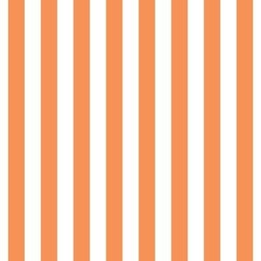 tangerine orange vertical stripes 1/2"