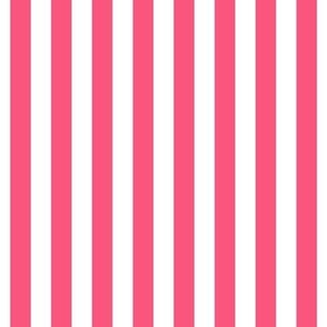 hot pink vertical stripes 1/2"