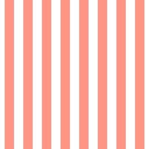 peach vertical stripes 1/2"