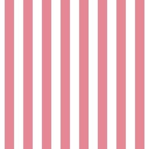 berry cream vertical stripes 1/2"