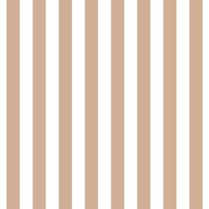 toasted nut vertical stripes 1/2"