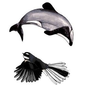 Dolphin + Fantail