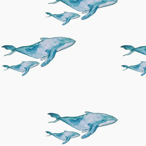 we love whales