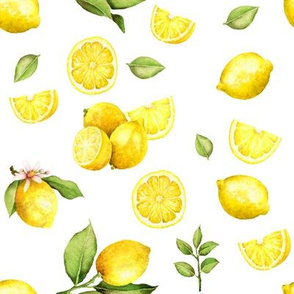 Watercolor Lemons // White