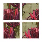 Maximalist- The Gymea Lily