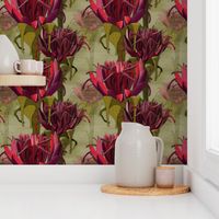 Maximalist- The Gymea Lily