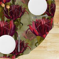 Maximalist- The Gymea Lily