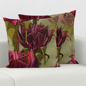 Maximalist- The Gymea Lily