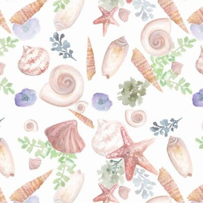 Watercolour Seashells