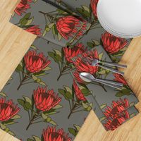 Proteas (red) on grey