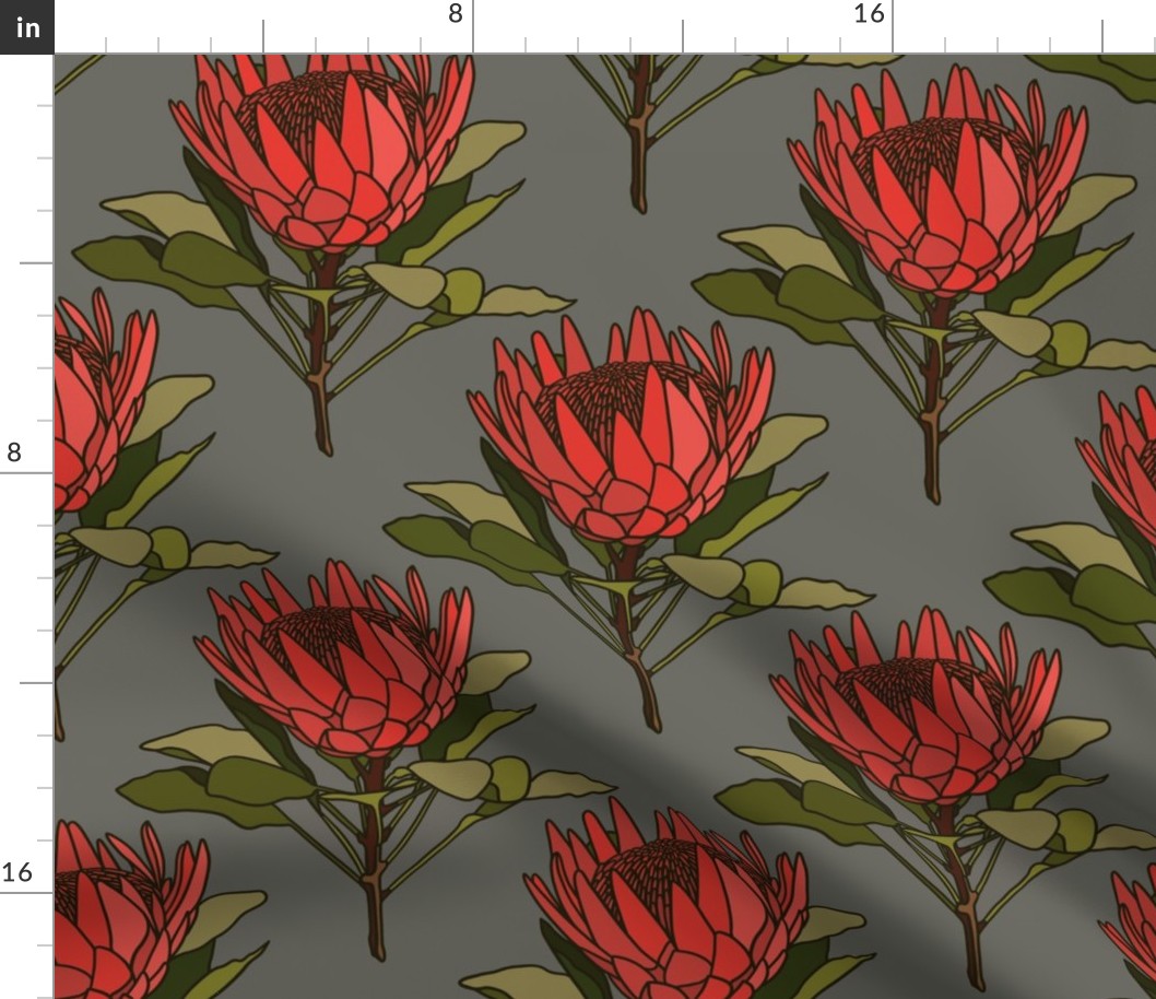 Proteas (red) on grey