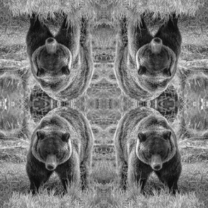 Grizzly Bear B&W Pattern