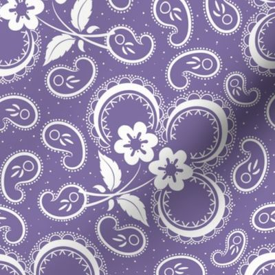 Heartland Rose Paisley: Violet Purple Floral Paisley