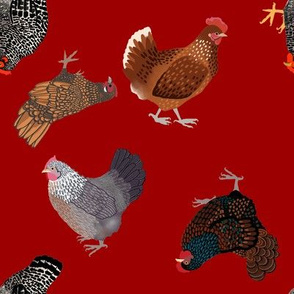 Chickens red