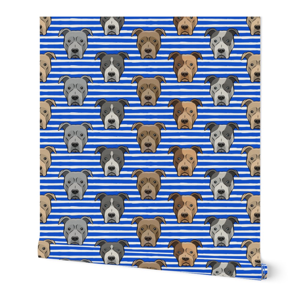 all the pit bulls - blue stripes LAD19