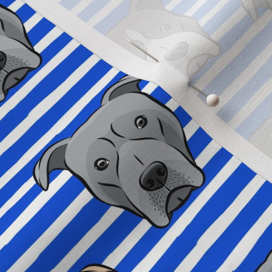 all the pit bulls - blue stripes LAD19