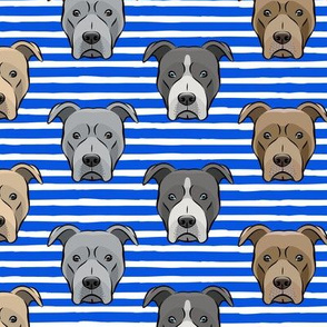 all the pit bulls - blue stripes LAD19