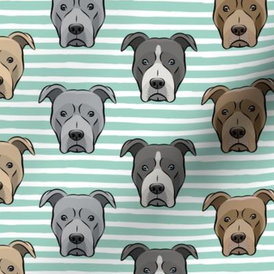 all the pit bulls - aqua stripes LAD19