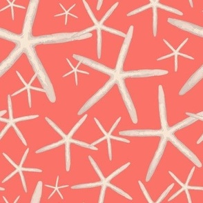 19-04N Nautical Starfish Coral