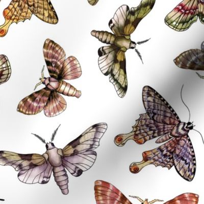 A Multitude Of Moths - Colorful Moth Pattern
