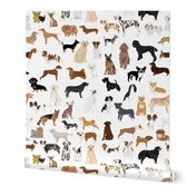 LARGE - dogs -  dog fabric lots of breeds cute dogs best dog fabric best dogs cute dog breed design dog owners will love this cute dog fabric