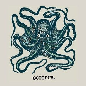 Victorian  octopus