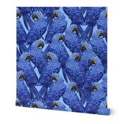 Hyacinth Macaws Flock (tiny)