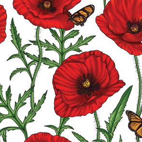 Botanical Red Poppy Flowers with Butterflies - White Large