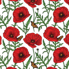 Botanical Red Poppy Flowers with Butterflies - White Small