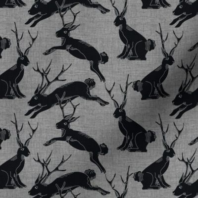 jackalopes grey