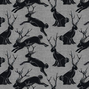 jackalopes grey