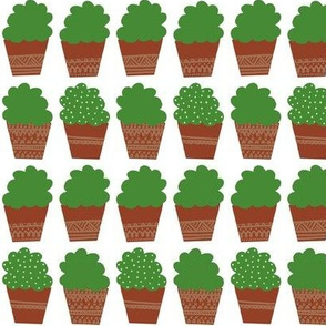 Potted Plants