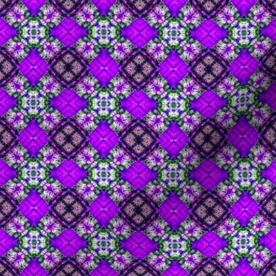 Purple Paisley Checkerboard
