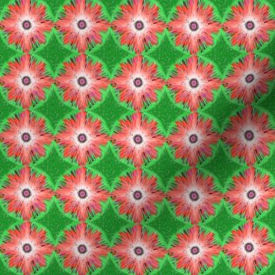 BYF1 - Bulls Eye Floral Polka Puffs in Coral and Green